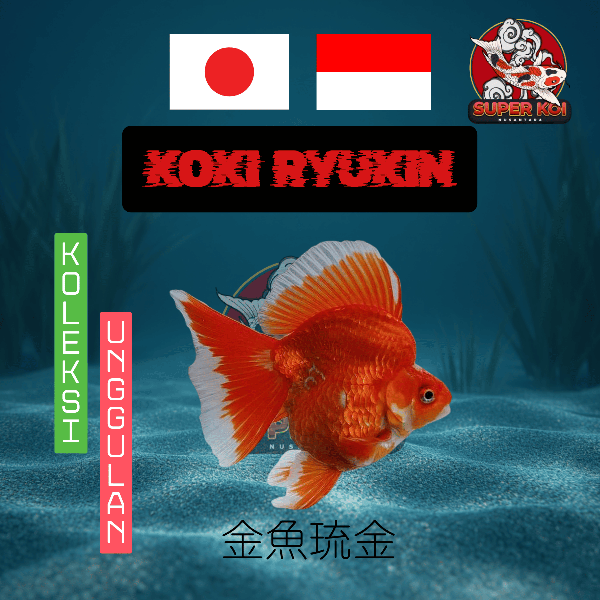 Koki Ryukin